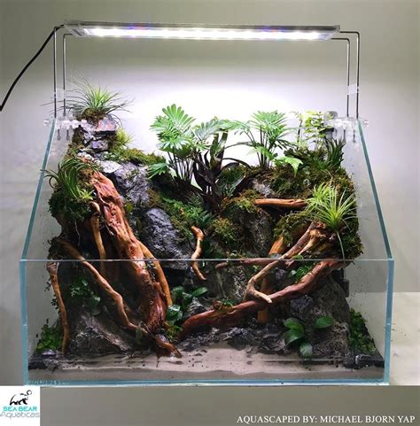 vochtmeter.paludarium|aquatic paludarium design.